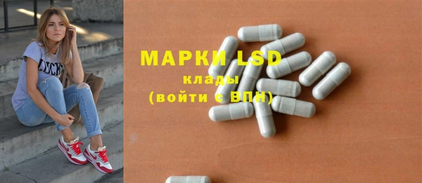 спиды Бородино