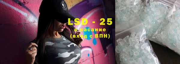 спиды Бородино