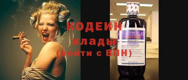 спиды Бородино