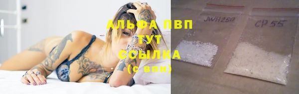 спиды Бородино