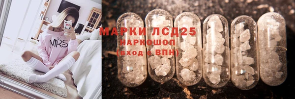спиды Бородино